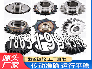 压面机齿轮全新的